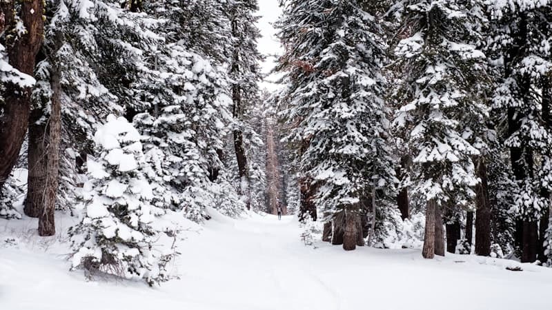 凍結した阿寒湖上で打ち上げられる花火