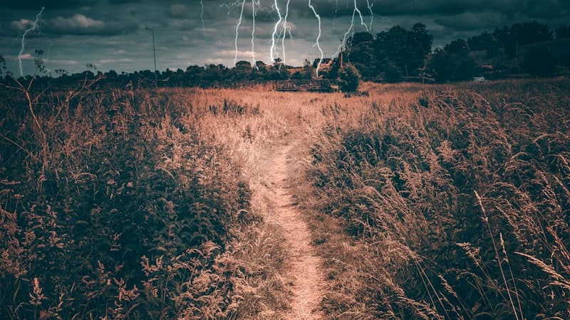 ライトアップされた美しい氷像