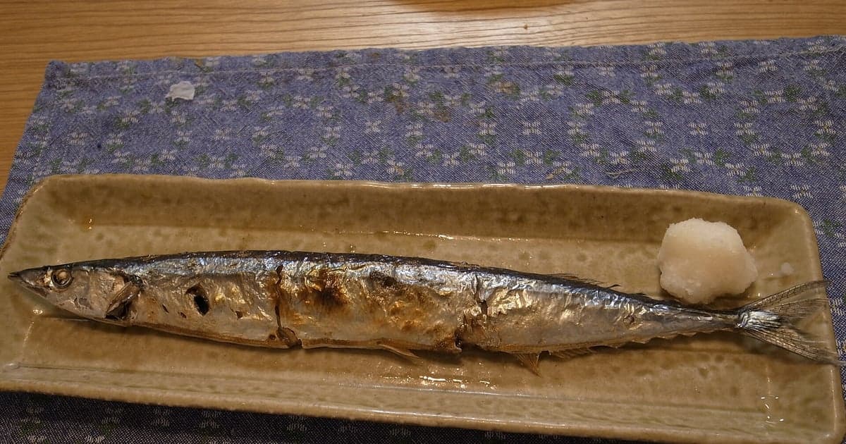 釧路川を秋に遡上するサケの大群、道東の壮大な自然の営みサーモンラン