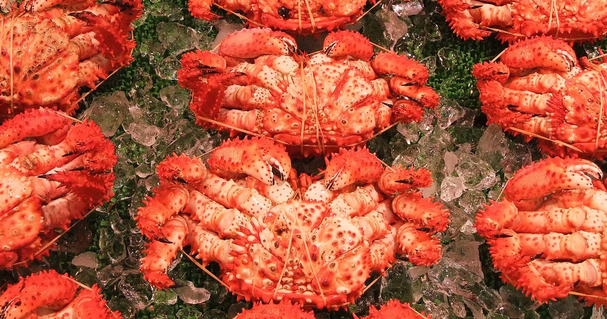 茹でると鮮やかな朱色に変わる花咲ガニ