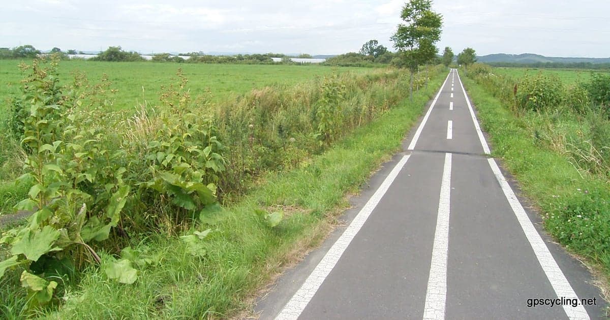 釧路周辺の道東ドライブで立ち寄る道の駅の地場食材と名物グルメが並ぶ風景