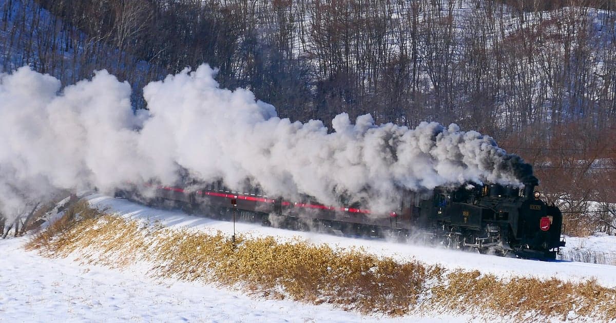 雪に覆われた釧路の冬の街並み
